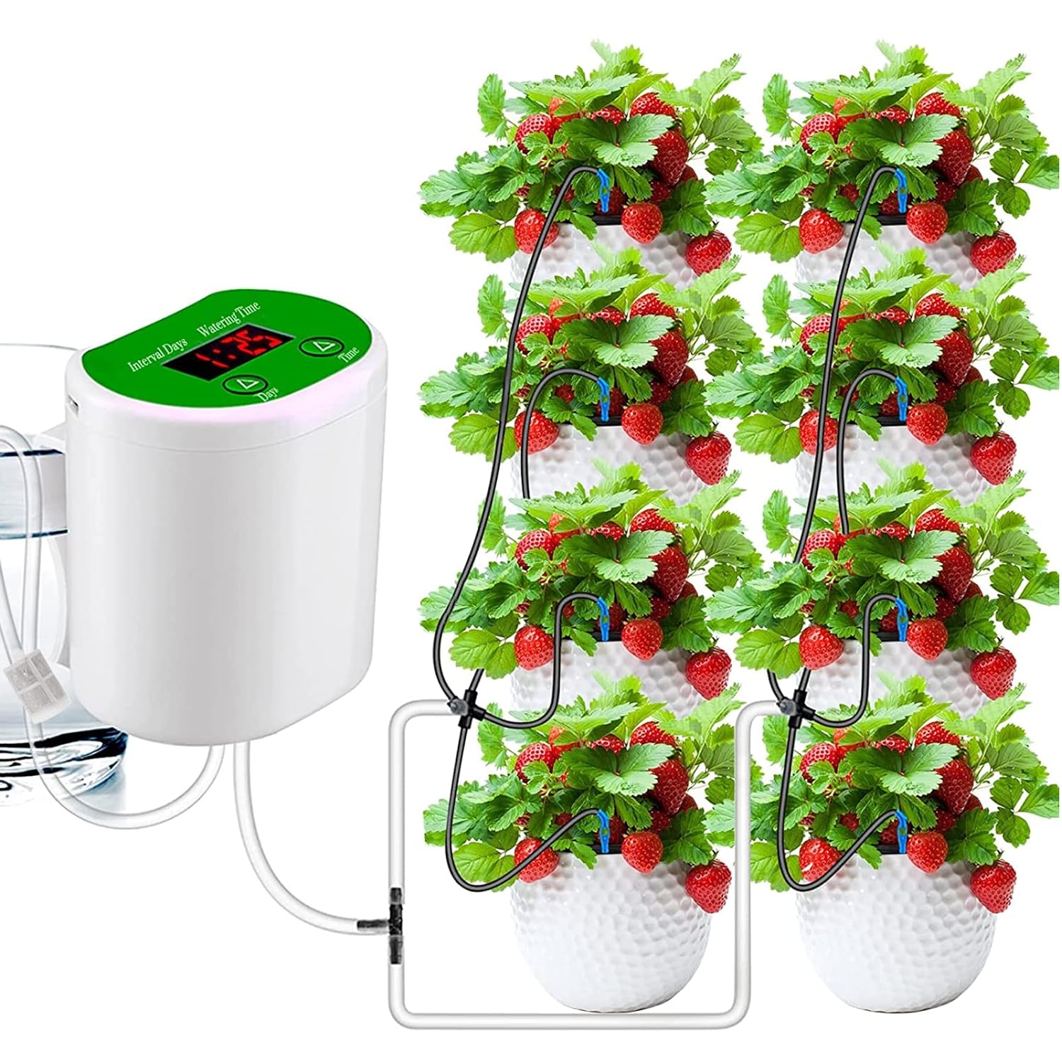 Outdoor Garden Plant Watering  - Outdoor Power And Plant 评论和价格